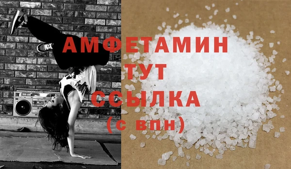 прущие грибы Тавда